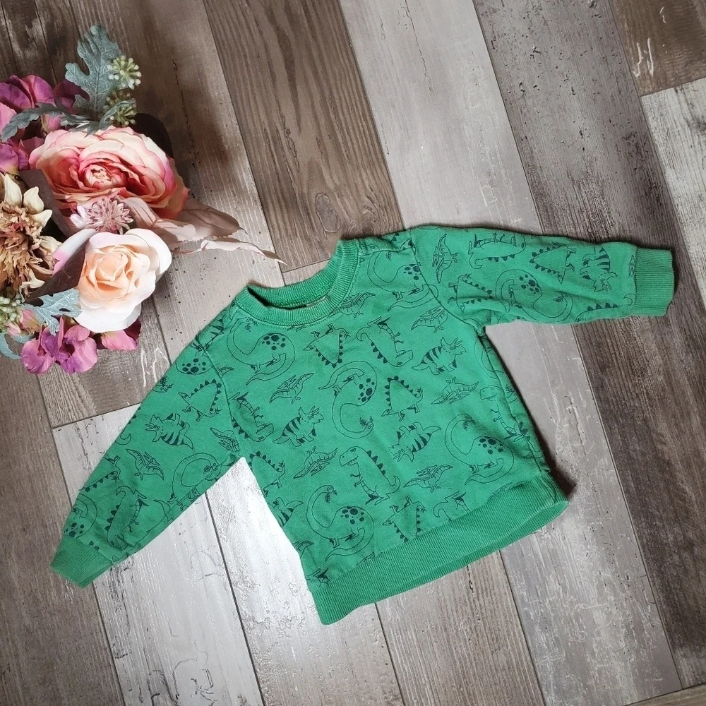 Carter's Green T-Rex Dinosaur Fleece Pullover Sweatshirt Boys Size 18m EUC